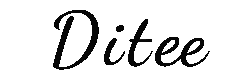 Ditee – Your Daily Bag, Redefined | Stylish Bags for Women